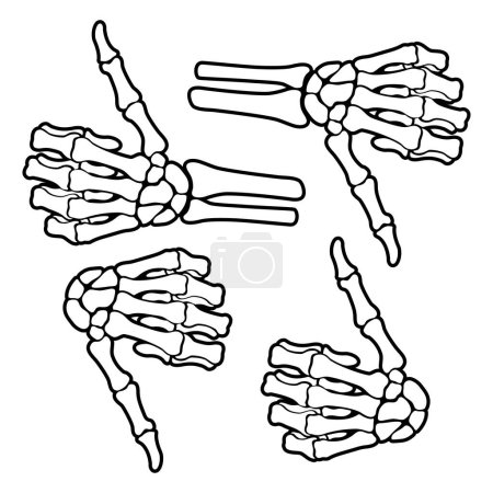Téléchargez les illustrations : Skeleton bone thumb up hand sign - en licence libre de droit