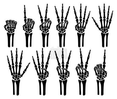 Ilustración de Skeleton bone hand counting number of fingers sign illustration - Imagen libre de derechos