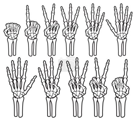 Illustration for Skeleton bone hand counting number of fingers sign illustration - Royalty Free Image