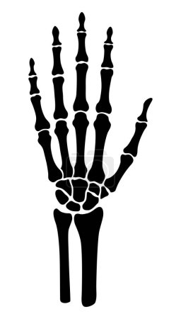 Téléchargez les illustrations : Skeleton bone hand illustration - en licence libre de droit