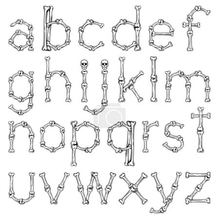 Illustration for Bone font alphabet letters - Royalty Free Image
