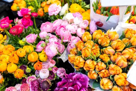 Photo for Many multicolored fresh peonies bouquets background. Dutch flower market stall or store. Wholesale warehouse and retail flower shop. Florist design service. Woman or Valentines day gift present. - Royalty Free Image