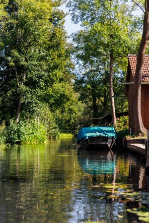 Scenic view of green riverside garden house german national park Spreewald on spring summer sunny day . Spree river forest greenery canal nature tranquil landscape in Germany blue sky background.