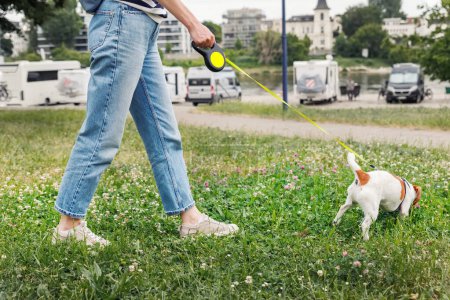 Female person walking jack russel terrier dog in city park grassland. Young adult pet owner happy healthy lifestyle. Girl with animal friend enjoy walking outdoors in summer day.