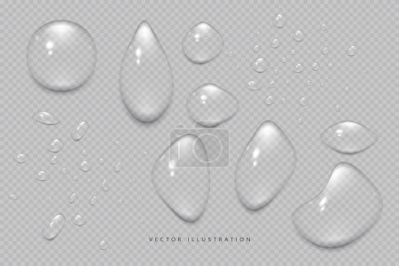 Illustration for Water drops, condensation on the window, on the surface. Vector illustration on an isolated transparent background - Royalty Free Image