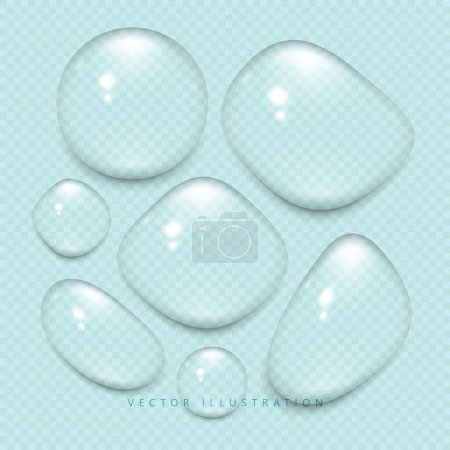 Water drops on the surface. Realistic Vector illustration on a transparent background