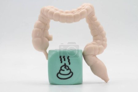 Foto de Miniatura del intestino humano con el símbolo de la caca - Imagen libre de derechos