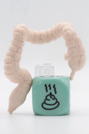 Photo for Miniature of human intestine with the symbol of poo - Royalty Free Image