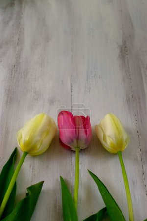 Foto de Tulipanes rojos y amarillos en fondo de madera con espacio para copiar - Imagen libre de derechos