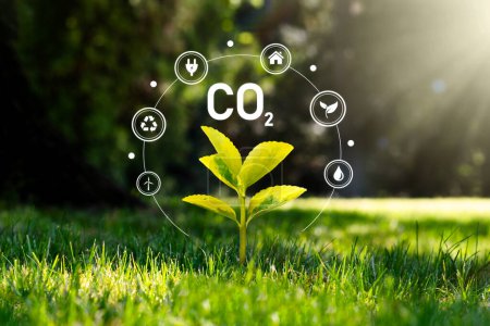 Foto de Dióxido de carbono, emisiones de CO2, concepto de huella de carbono - Imagen libre de derechos