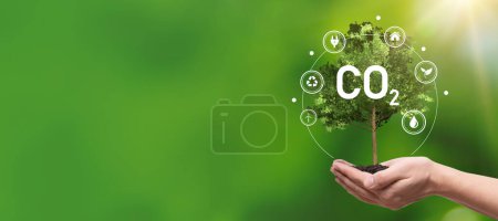 Foto de Huella de carbono, concepto de fuentes de energía sostenibles con árboles a la mano - Imagen libre de derechos