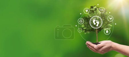 Téléchargez les photos : Empreinte carbone, concept de sources d'énergie durables avec arbre à portée de main - en image libre de droit