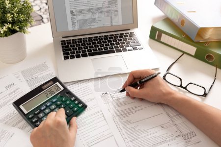 Individuelles Formular zur Einkommensteuererklärung, Steuereinkommenskonzept