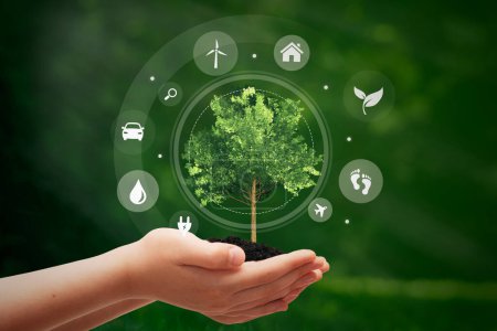 Téléchargez les photos : Sources d'énergie durables, concept écologique avec arbre entre les mains - en image libre de droit