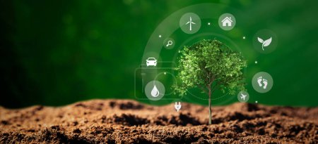 Téléchargez les photos : Sources d'énergie durables, concept écologique avec arbre en croissance - en image libre de droit