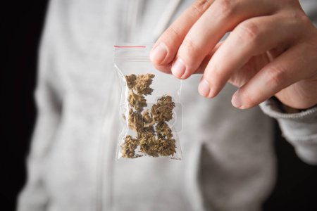 Photo for Zipper bag with marijuana. Man with illegal marijuana bag concept - Royalty Free Image