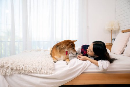 Téléchargez les photos : La jeune femme asiatique et son chien Shiba Inu partagent un regard aimant sur un lit confortable et ensoleillé dans un cadre serein de chambre - en image libre de droit