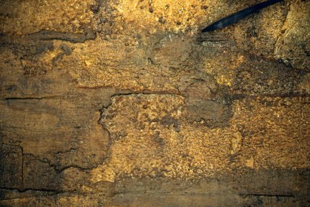 Detailed image of corroded and textured rusted metal surface with varying brown tones and cracks
