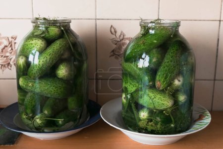 Fresh cucucmbers in glass jar. Salting vegetables for winter
