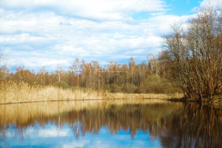 Schöne Frühlingslandschaft mit Fluss und Wald. Fluss Owsyanka im Gebiet Witebsk, Weißrussland