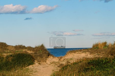 Foto de Vista panorámica de la costa de las dunas con hierba seca y mar bajo el cielo nublado y un barco de carga en el centro del marco - Imagen libre de derechos