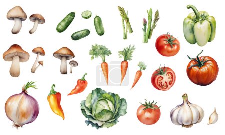 Frisches Gemüse Eine lebendige Aquarell-Kollektion