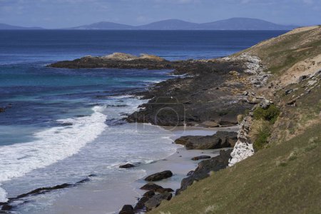 Scenic landscape of Carcass Island in the Falkland Islands