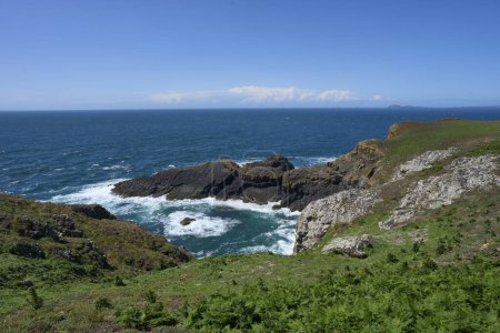 Téléchargez les photos : Côtes accidentées de l'île de Skomer au large des côtes du Pembrokeshire au Pays de Galles, Royaume-Uni. - en image libre de droit