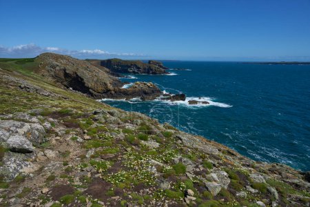 Foto de Rugged coast of the Island of Skomer off the coast of Pembrokeshire in Wales, Reino Unido. - Imagen libre de derechos