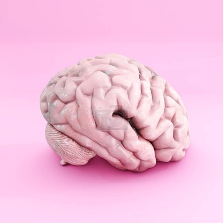 Téléchargez les photos : Cerveau isolé sur fond rose illustration 3d - en image libre de droit
