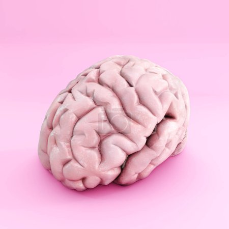 Foto de Cerebro aislado sobre fondo rosa 3d ilustración - Imagen libre de derechos