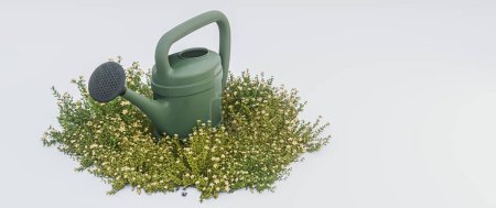 Photo for Watering can isolated on white background 3d illustration - Royalty Free Image