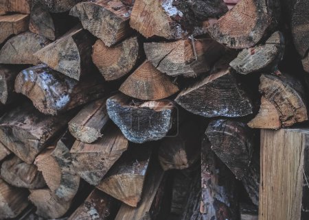Photo for Woodshed with a pile of dry logs. Chopped trees. Wooden logs. Firewood for kindling. House heating. Wooden background. Lumberjack work. Wooden material. - Royalty Free Image
