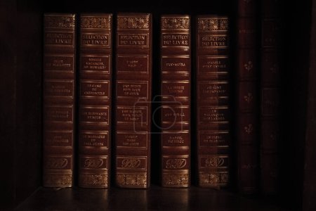 Photo for Hardback books on a shelf in dim lighting. Golden letters on the book spines. Collection of books. Classical literature. Home library. Hard cover. - Royalty Free Image
