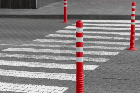 Photo for Empty pedestrian crossing and rubber signal posts. Red rubber column. Empty zebra. Lines on the road. Safety on the road. Signs for pedestrians. Rubber signal posts. Road markings. - Royalty Free Image