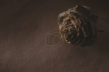 Withered flowers. Shadows on objects. A rose in the mist. Dead flowers. Pastel colors. Dry flowers. A woman's hand holds a flower. Ash pink. Gothic style. Ancient sculpture. Interior photo. Rose texture. A plucked bud of a withered rose.