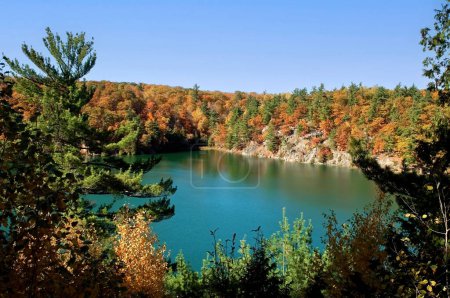 Pink Lake in Gatineau Quebec, not far from Ottawa. The Lake is called Pink Lake because it was named after the family that settled around that area. The water is actually green due to a natural process called eutrophication