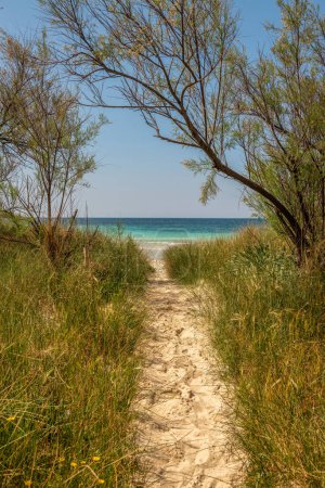 Photo for Narrow sandy path leading to a beautiful beach - Royalty Free Image