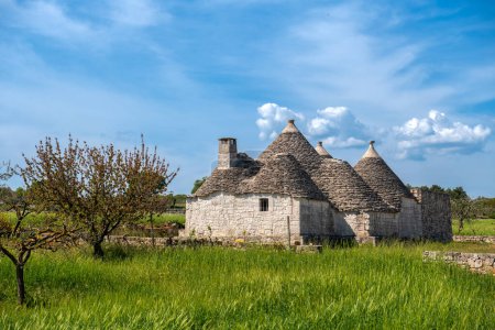 Photo for Beautiful, traditional Trullo shepherd's houses that are a symbol of Alberobello, a small town in Puglia in southern Italy - Royalty Free Image