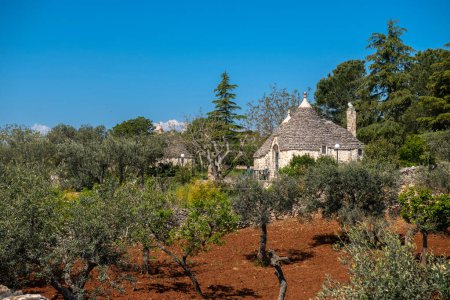 Photo for A traditional Truo stone house surrounded by young olive trees - Royalty Free Image