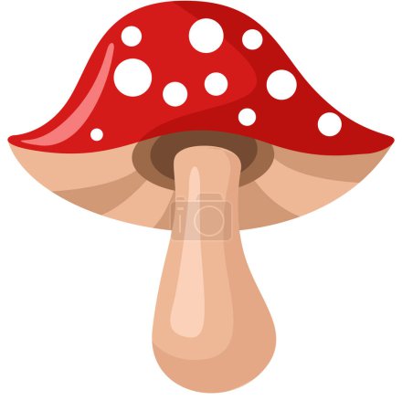 Red mushroom isolated on white
