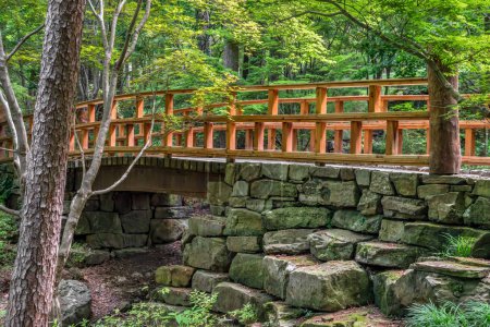 A beautiful footbridge, with wooden handrails and stone walkway, crosses a stream under the trees in the woods in Arkansas near Hot Springs.