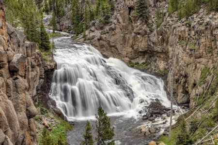 Téléchargez les photos : Gibbon Falls est une grande cascade sur la rivière Gibbon dans le parc national de Yellowstone, Wyoming. - en image libre de droit