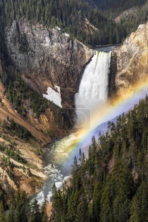 Photo for A colorful morning rainbow is seen in the spray and mist of the Lower Falls of the Yellowstone River, as the waterfall plunges into the Grand Canyon of the Yellowstone in Yellowstone National Park in Wyoming. - Royalty Free Image