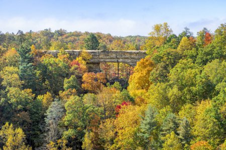 Téléchargez les photos : Vue depuis Lookout Point au sommet du rocher Battleship, entouré de feuilles d'automne colorées, une grande arche rocheuse est la pièce maîtresse géologique du parc national Natural Bridge dans la région des gorges de la rivière Rouge du Kentucky.. - en image libre de droit