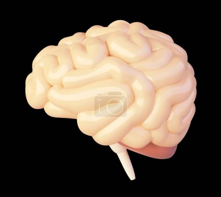 Téléchargez les illustrations : Icône du cerveau vectoriel. Illustration basse poly cerveau, vue latérale - en licence libre de droit