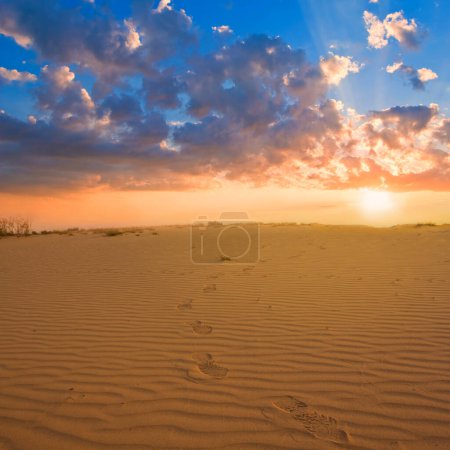 Wide sandy desert  with human track at the sunset