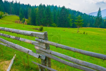 primer plano valla de madera en pastos verdes de montaña, escena del pueblo de montaña de verano
