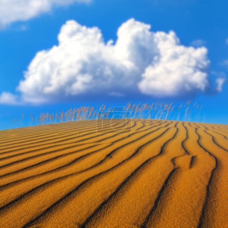 Photo for Wide sandy desert under a cumulus clouds - Royalty Free Image