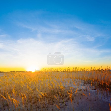 Photo for Sandy prairie at the sunset - Royalty Free Image